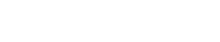 BAR 133ch